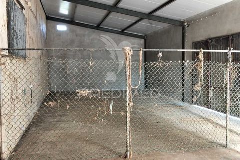 Byhus i Santarem, Santarem, Santarem - € 599.000 | Ref: 054608 - foto 38