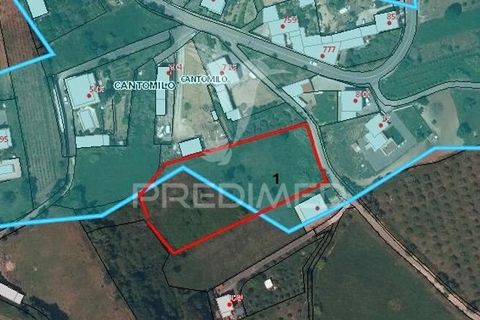 Helårsgrund i Leiria, Leiria, Leiria - € 150.000 | Ref: 054638 - foto 2
