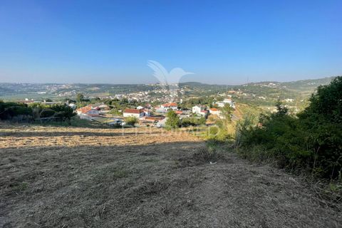 Helårsgrund i Leiria, Leiria, Leiria - € 150.000 | Ref: 054638 - foto 3