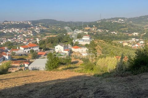 Helårsgrund i Leiria, Leiria, Leiria - € 150.000 | Ref: 054638 - foto 8