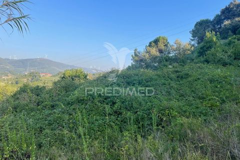Helårsgrund i Leiria, Leiria, Leiria - € 150.000 | Ref: 054638 - foto 9