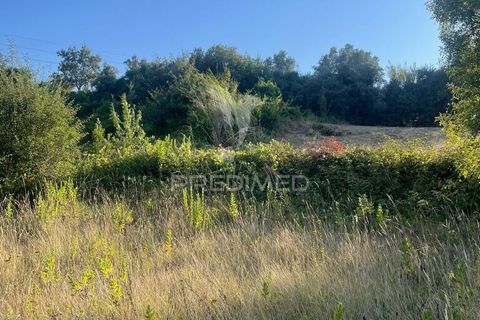 Helårsgrund i Leiria, Leiria, Leiria - € 150.000 | Ref: 054638 - foto 11