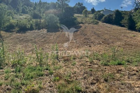 Helårsgrund i Leiria, Leiria, Leiria - € 150.000 | Ref: 054638 - foto 14
