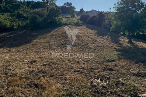 Helårsgrund i Leiria, Leiria, Leiria - € 150.000 | Ref: 054638 - foto 15