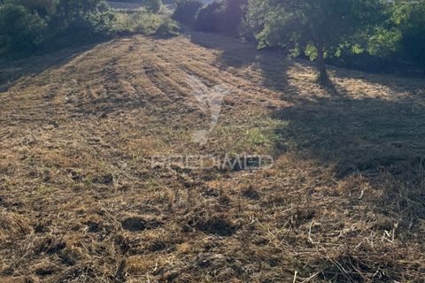 Helårsgrund i Leiria, Leiria, Leiria - € 150.000 | Ref: 054638 - foto 16