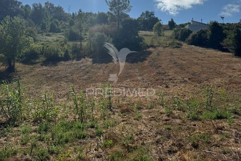 Helårsgrund i Leiria, Leiria, Leiria - € 150.000 | Ref: 054638 - foto 17
