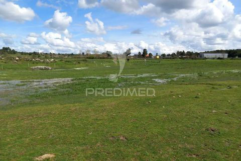 Farm hus i Meda, Guarda, Meda - € 175.000 | Ref: 054758 - foto 4