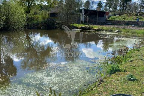 Farm hus i Meda, Guarda, Meda - € 175.000 | Ref: 054758 - foto 5