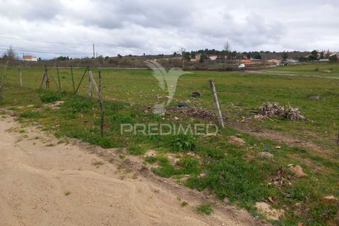 Farm hus i Meda, Guarda, Meda - € 175.000 | Ref: 054758 - foto 7