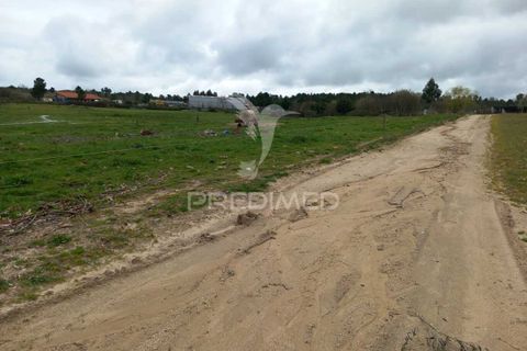 Farm hus i Meda, Guarda, Meda - € 175.000 | Ref: 054758 - foto 8