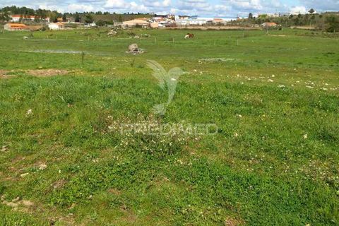 Farm hus i Meda, Guarda, Meda - € 175.000 | Ref: 054758 - foto 9