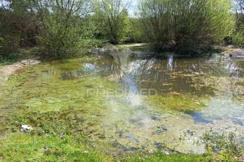 Farm hus i Meda, Guarda, Meda - € 175.000 | Ref: 054758 - foto 10