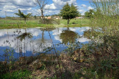 Farm hus i Meda, Guarda, Meda - € 175.000 | Ref: 054758 - foto 11