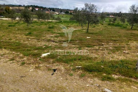 Farm hus i Meda, Guarda, Meda - € 175.000 | Ref: 054758 - foto 13