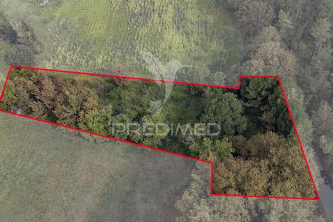 Helårsgrund i Vila Verde, Braga, Vila Verde - € 59.000 | Ref: 054917 - foto 1