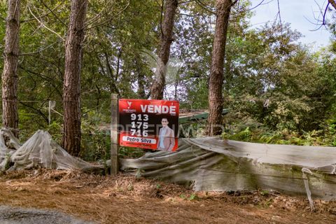 Helårsgrund i Vila Verde, Braga, Vila Verde - € 59.000 | Ref: 054917 - foto 2