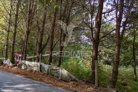 Helårsgrund i Vila Verde, Braga, Vila Verde - € 59.000 | Ref: 054917 - foto 4