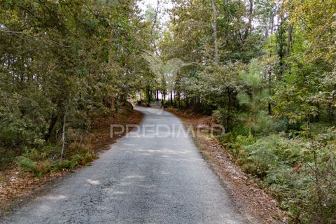 Helårsgrund i Vila Verde, Braga, Vila Verde - € 59.000 | Ref: 054917 - foto 5