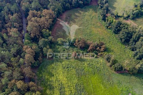 Helårsgrund i Vila Verde, Braga, Vila Verde - € 59.000 | Ref: 054917 - foto 9