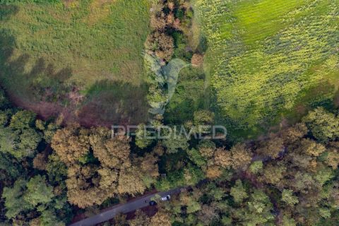 Helårsgrund i Vila Verde, Braga, Vila Verde - € 59.000 | Ref: 054917 - foto 10