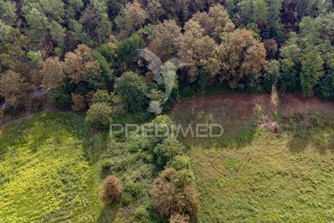 Helårsgrund i Vila Verde, Braga, Vila Verde - € 59.000 | Ref: 054917 - foto 11
