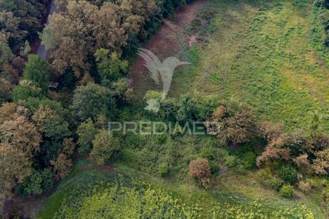Helårsgrund i Vila Verde, Braga, Vila Verde - € 59.000 | Ref: 054917 - foto 13