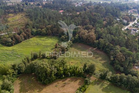Helårsgrund i Vila Verde, Braga, Vila Verde - € 59.000 | Ref: 054917 - foto 15