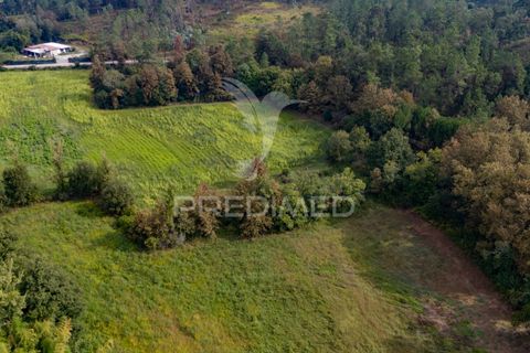 Helårsgrund i Vila Verde, Braga, Vila Verde - € 59.000 | Ref: 054917 - foto 16