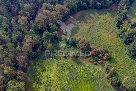 Helårsgrund i Vila Verde, Braga, Vila Verde - € 59.000 | Ref: 054917 - foto 17