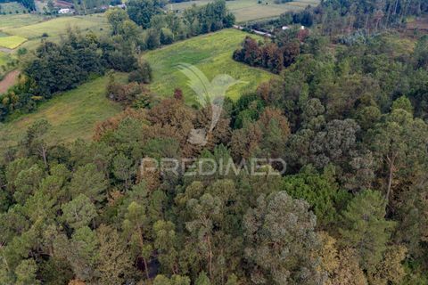 Helårsgrund i Vila Verde, Braga, Vila Verde - € 59.000 | Ref: 054917 - foto 18