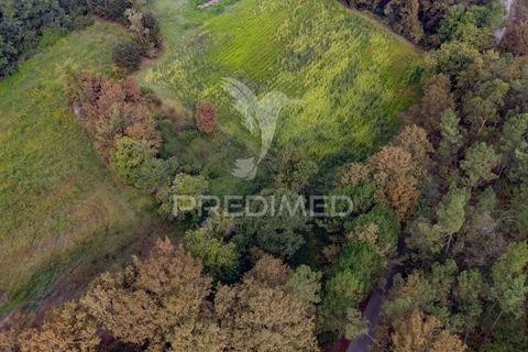Helårsgrund i Vila Verde, Braga, Vila Verde - € 59.000 | Ref: 054917 - foto 19
