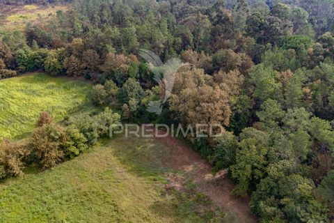 Helårsgrund i Vila Verde, Braga, Vila Verde - € 59.000 | Ref: 054917 - foto 20