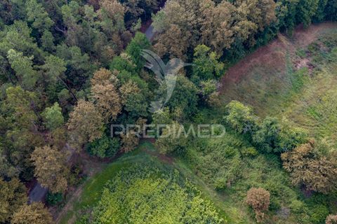 Helårsgrund i Vila Verde, Braga, Vila Verde - € 59.000 | Ref: 054917 - foto 21