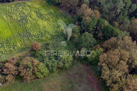 Helårsgrund i Vila Verde, Braga, Vila Verde - € 59.000 | Ref: 054917 - foto 22
