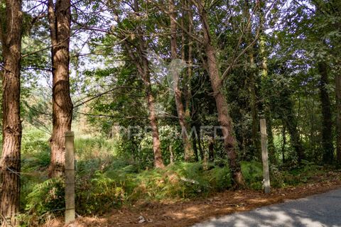 Helårsgrund i Vila Verde, Braga, Vila Verde - € 59.000 | Ref: 054917 - foto 24
