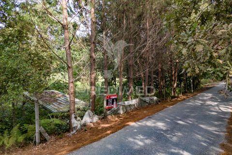 Helårsgrund i Vila Verde, Braga, Vila Verde - € 59.000 | Ref: 054917 - foto 26