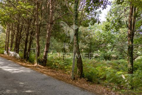 Helårsgrund i Vila Verde, Braga, Vila Verde - € 59.000 | Ref: 054917 - foto 27