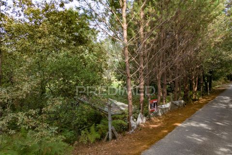 Helårsgrund i Vila Verde, Braga, Vila Verde - € 59.000 | Ref: 054917 - foto 28