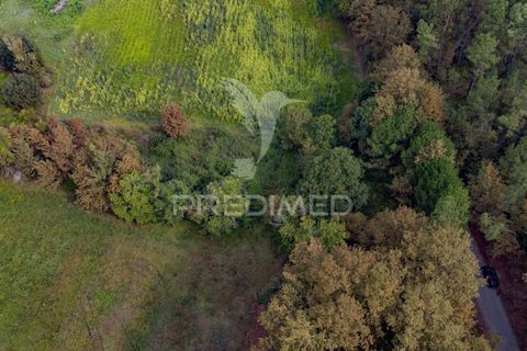 Helårsgrund i Vila Verde, Braga, Vila Verde - € 59.000 | Ref: 054917 - foto 31
