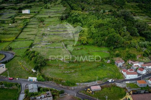 Helårsgrund i Velas, Sao Jorge, Velas - € 45.000 | Ref: 054969 - foto 17