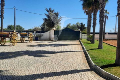 Farm hus i Albufeira, Faro, Albufeira - € 1.600.000 | Ref: 055093 - foto 1
