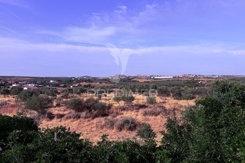 Farm hus i Elvas, Portalegre, Elvas - € 700.000 | Ref: 055475 - foto 37