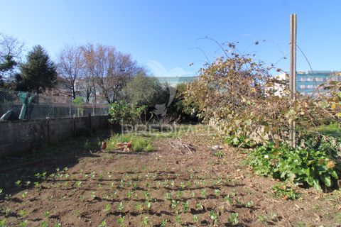 Helårsgrund i Maia, Porto, Maia - € 110.000 | Ref: 056092 - foto 7
