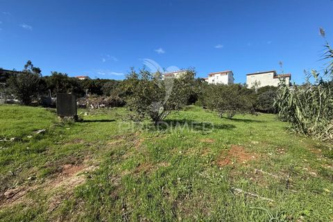 Helårsgrund i Ourem, Santarem, Ourem - € 120.000 | Ref: 056130 - foto 9