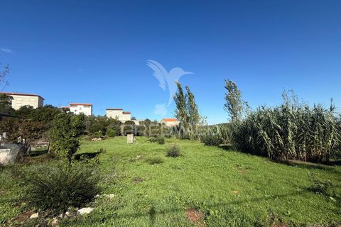Helårsgrund i Ourem, Santarem, Ourem - € 120.000 | Ref: 056130 - foto 12