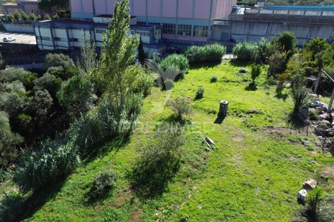 Helårsgrund i Ourem, Santarem, Ourem - € 120.000 | Ref: 056130 - foto 13