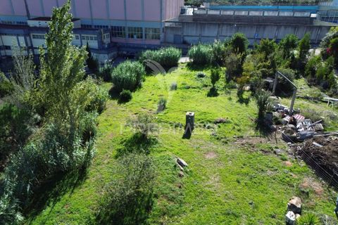 Helårsgrund i Ourem, Santarem, Ourem - € 120.000 | Ref: 056130 - foto 14