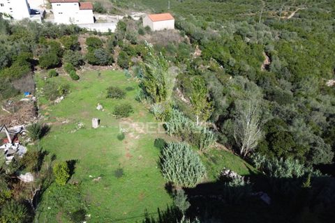 Helårsgrund i Ourem, Santarem, Ourem - € 120.000 | Ref: 056130 - foto 16