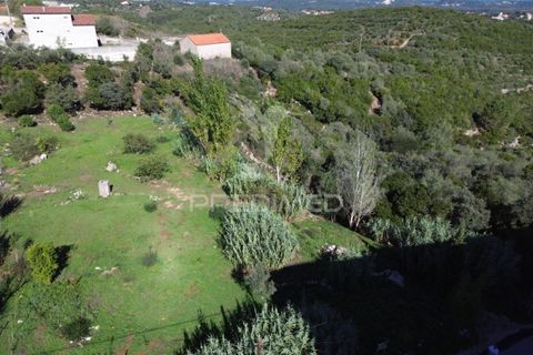 Helårsgrund i Ourem, Santarem, Ourem - € 120.000 | Ref: 056130 - foto 17