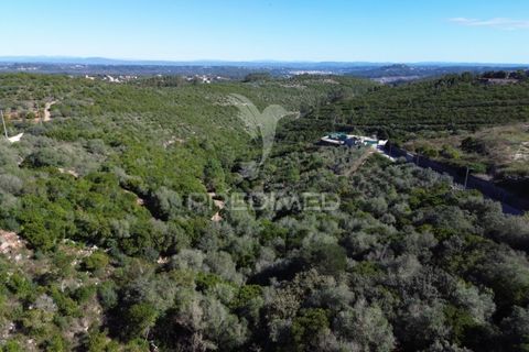 Helårsgrund i Ourem, Santarem, Ourem - € 120.000 | Ref: 056130 - foto 19
